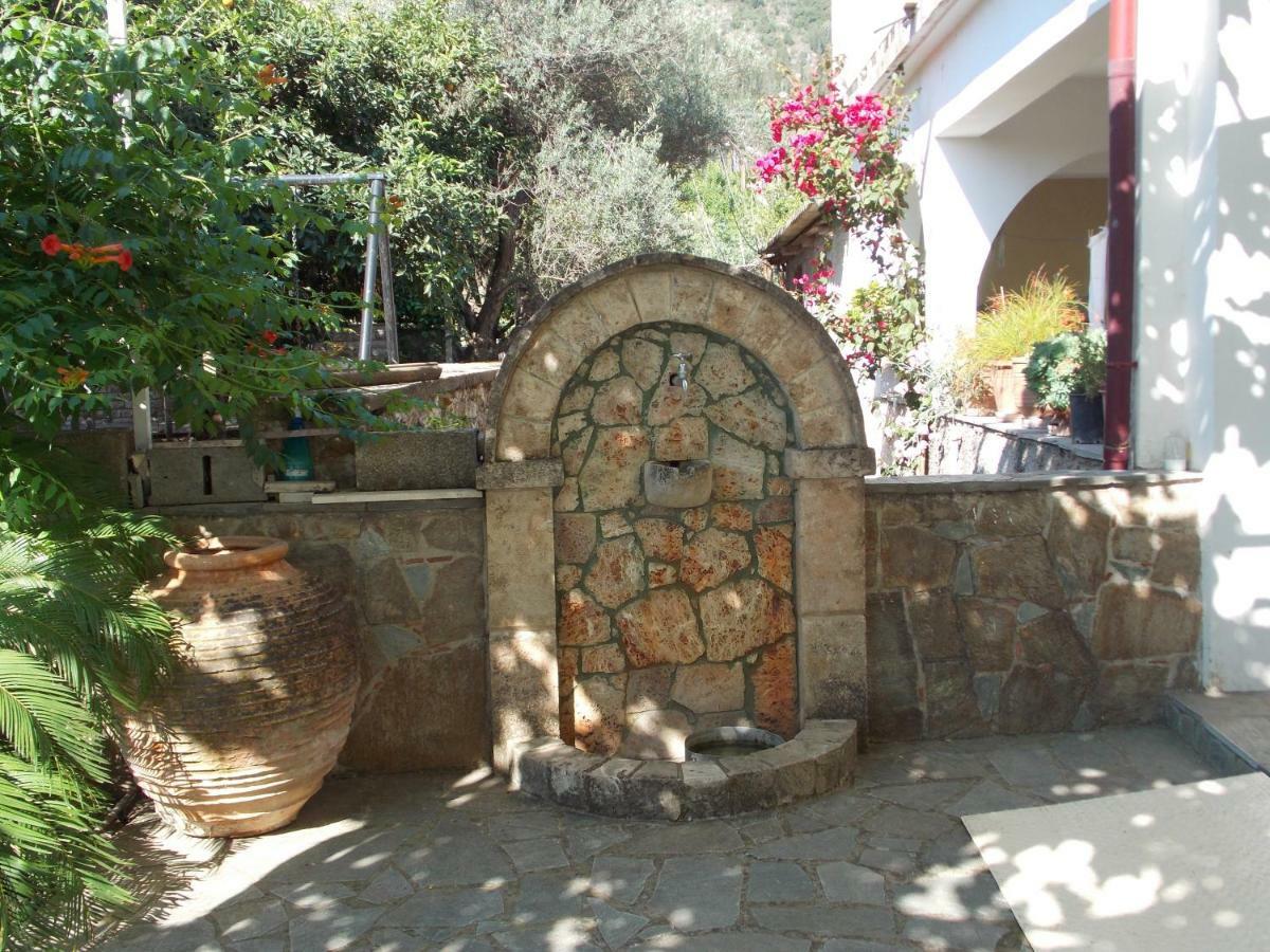 Art Flowers And Culture Mystras Eksteriør bilde